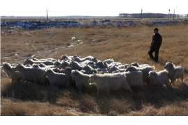 甘井子贷款清欠服务