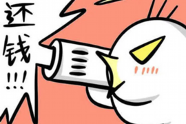 甘井子债务清欠服务